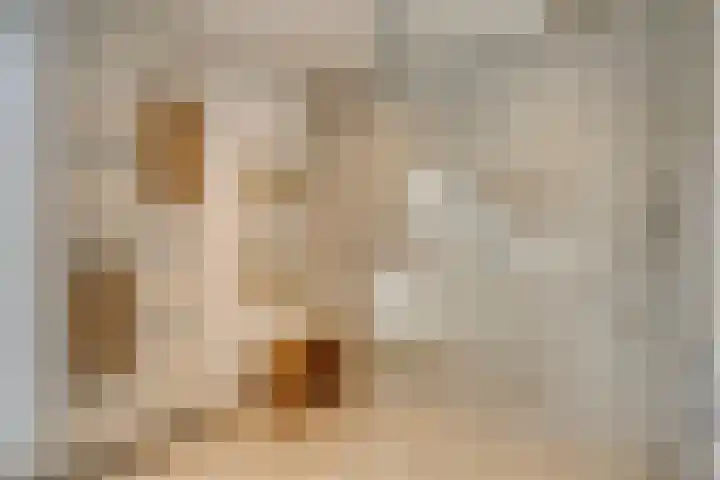 Dr. Nolenslaan 62 Geleen thumbnail 36