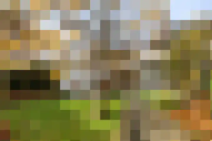 Dr. Nolenslaan 62 Geleen thumbnail 4