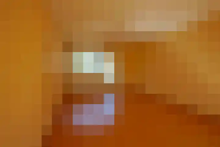 Dr. Nolenslaan 68 I Sittard thumbnail 4