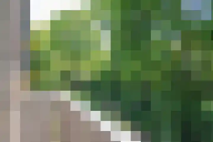 Dr. Nolenslaan 80 I Sittard thumbnail 15