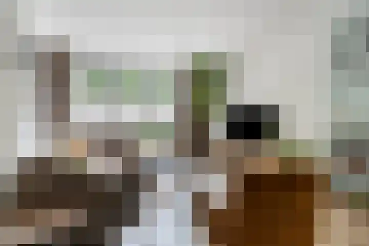Dr. Nolenslaan 82 Sittard thumbnail 11