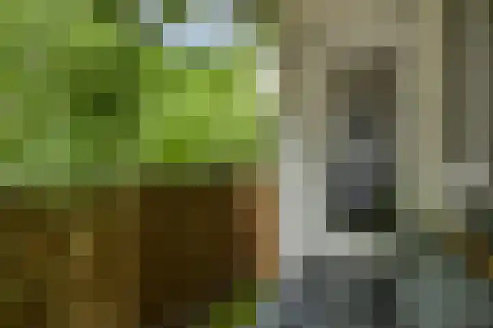 Dr. Nolenslaan 82 Sittard thumbnail 14