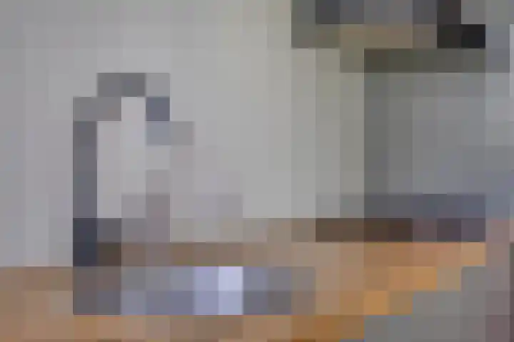 Dr. Nolenslaan 82 Sittard thumbnail 21