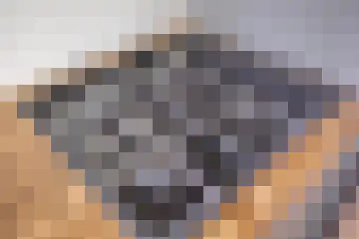 Dr. Nolenslaan 82 Sittard thumbnail 22