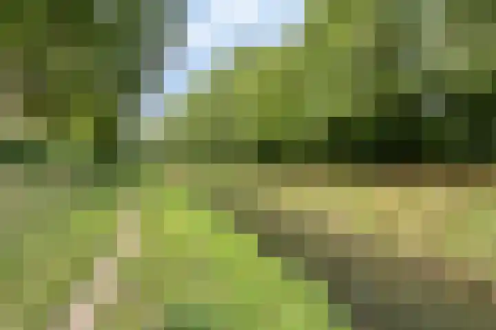 Dr. Nolenslaan 82 Sittard thumbnail 30