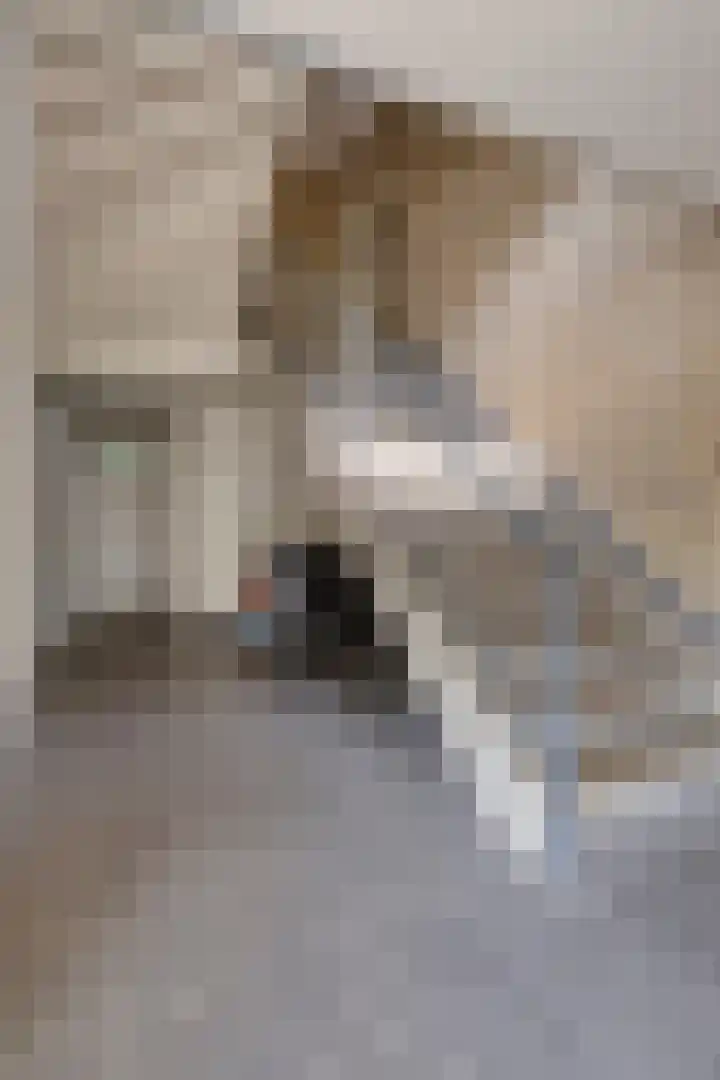 Dr. Nolenslaan 82 Sittard thumbnail 4