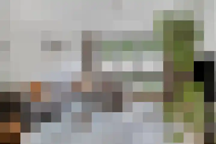Dr. Nolenslaan 82 Sittard thumbnail 9