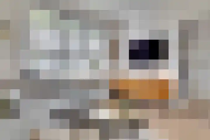 Dr. Nolensplein 23 Heerlen thumbnail 13