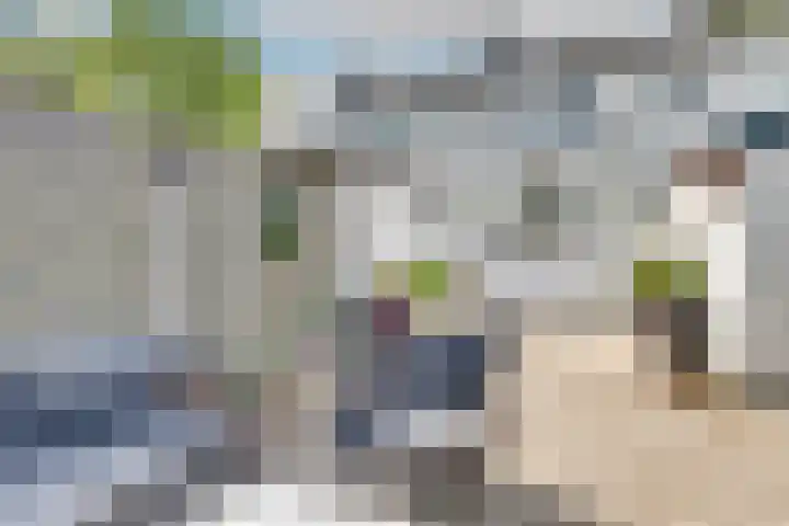 Dr. Nolensplein 23 Heerlen thumbnail 47