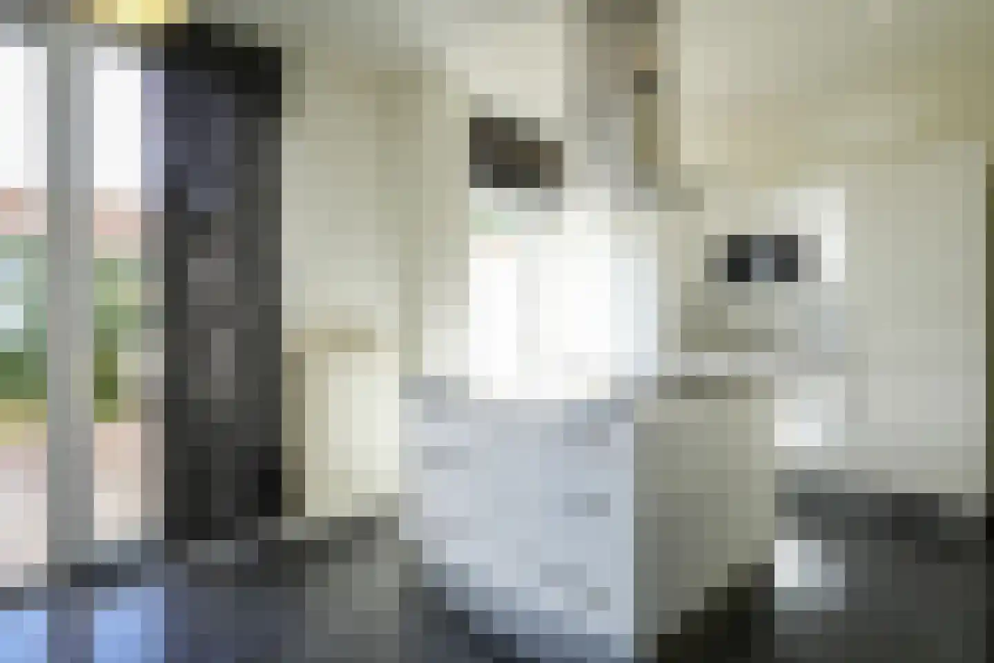 Dr. Nolensplein 6 Heerlen thumbnail 9