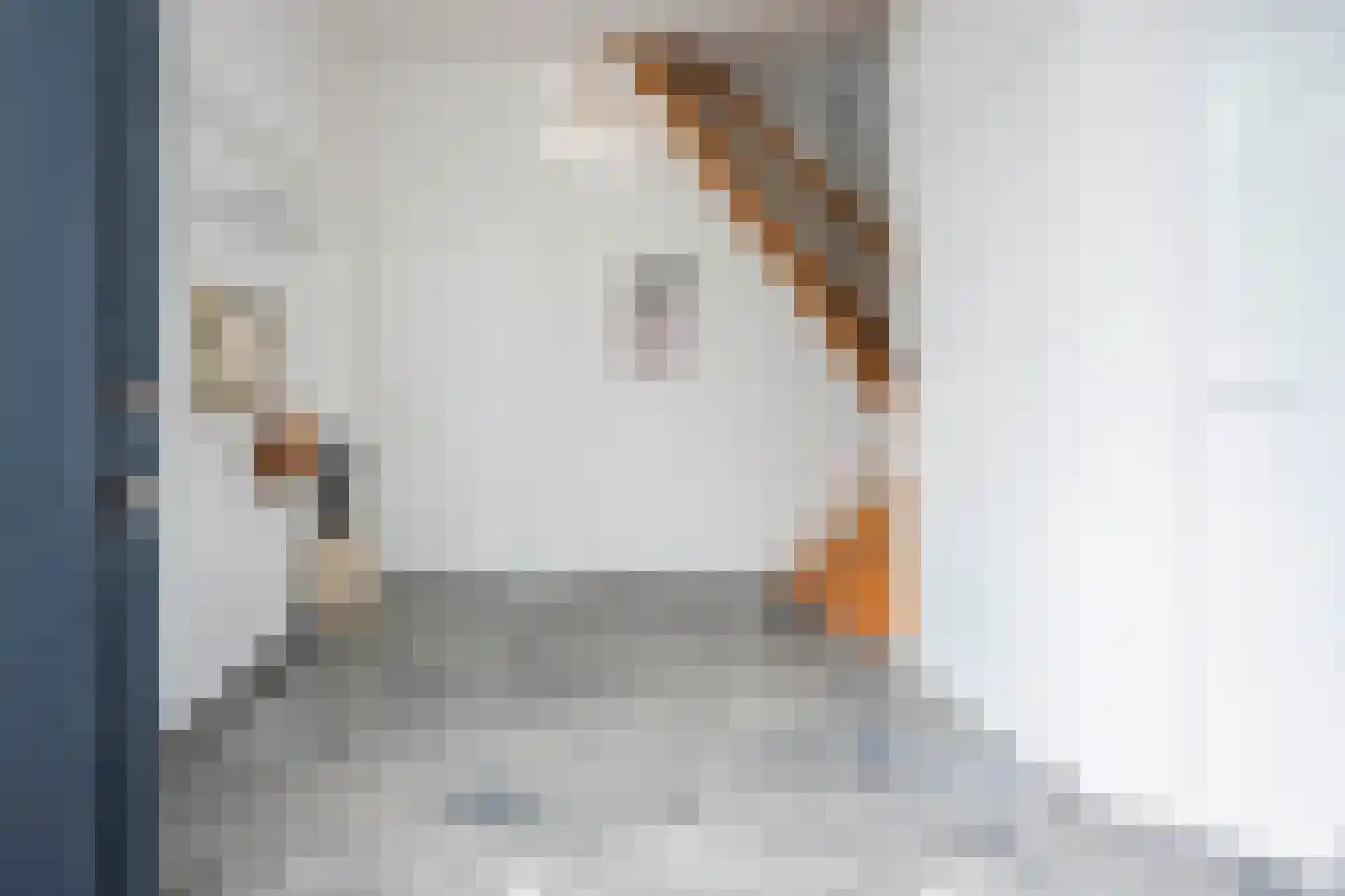 Dr.Nolensstraat 1 A Kerkrade thumbnail 4
