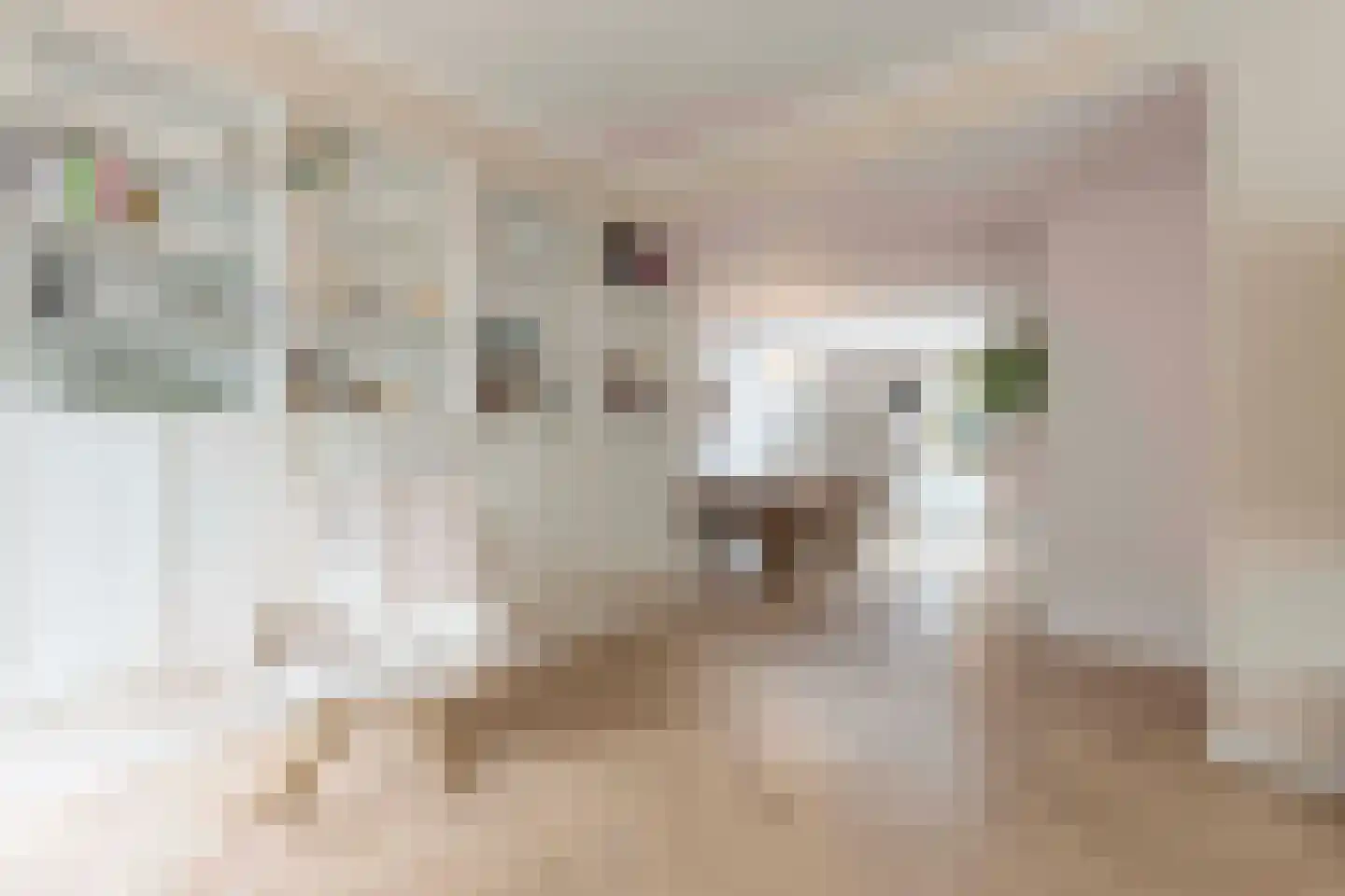 Dr.Nolensstraat 1 A Kerkrade thumbnail 8