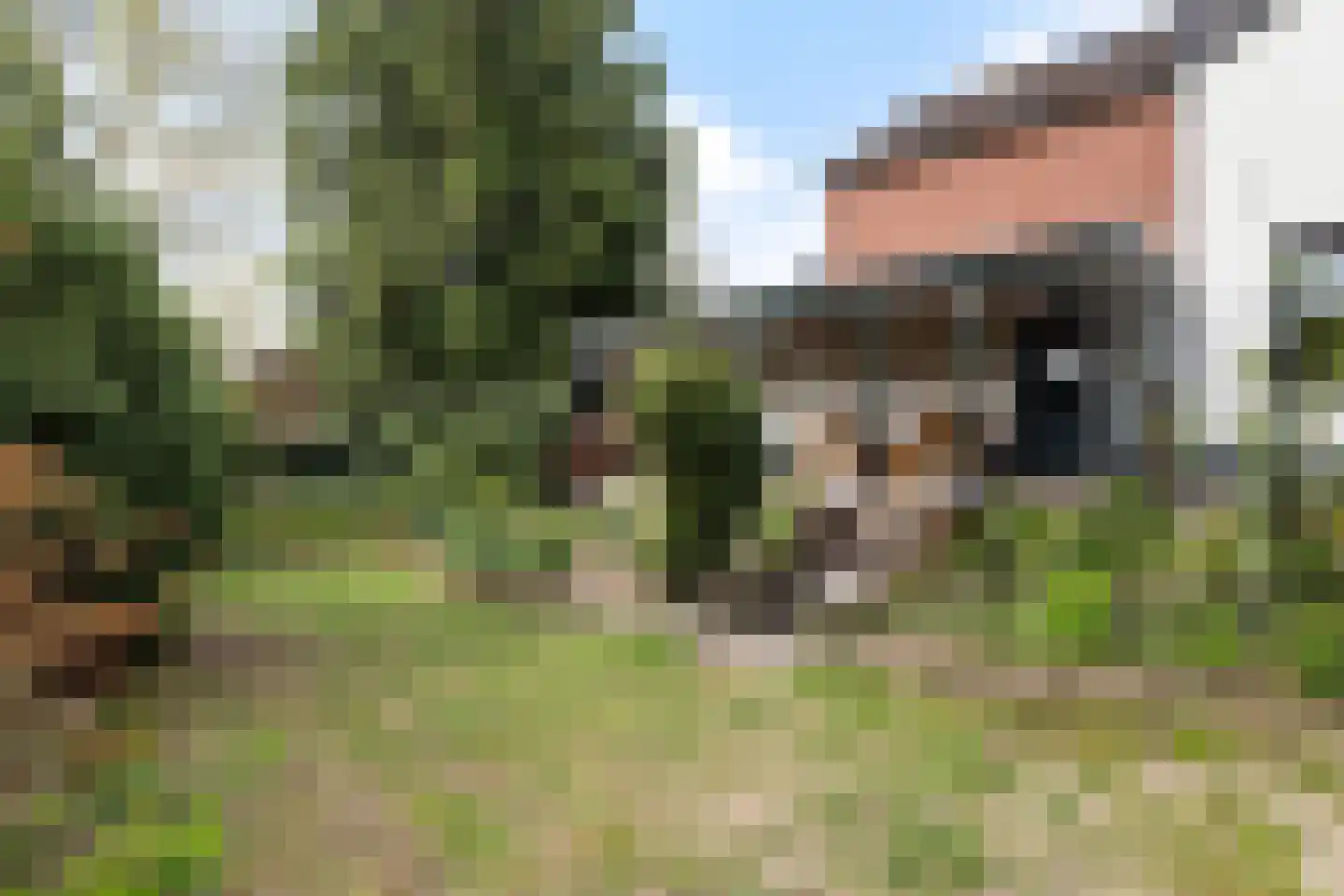 Dr.Nolensstraat 13 Gennep thumbnail 26