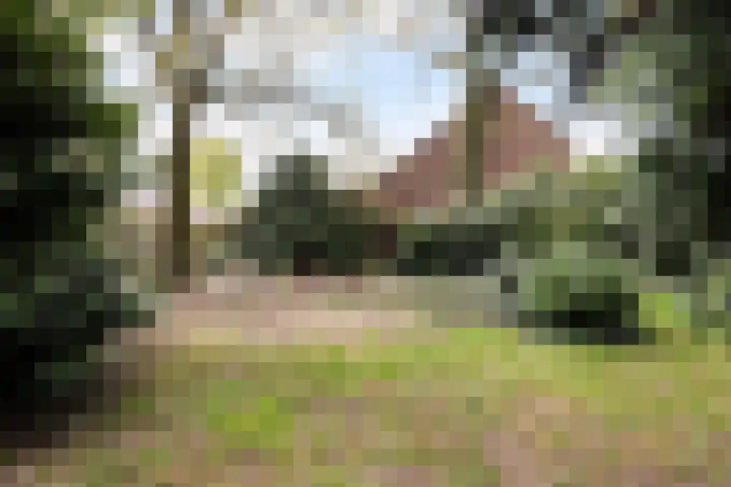 Dr.Nolensstraat 13 Gennep thumbnail 27