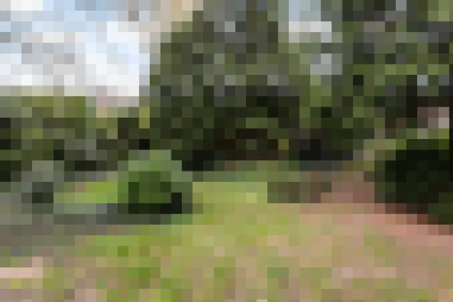 Dr.Nolensstraat 13 Gennep thumbnail 28