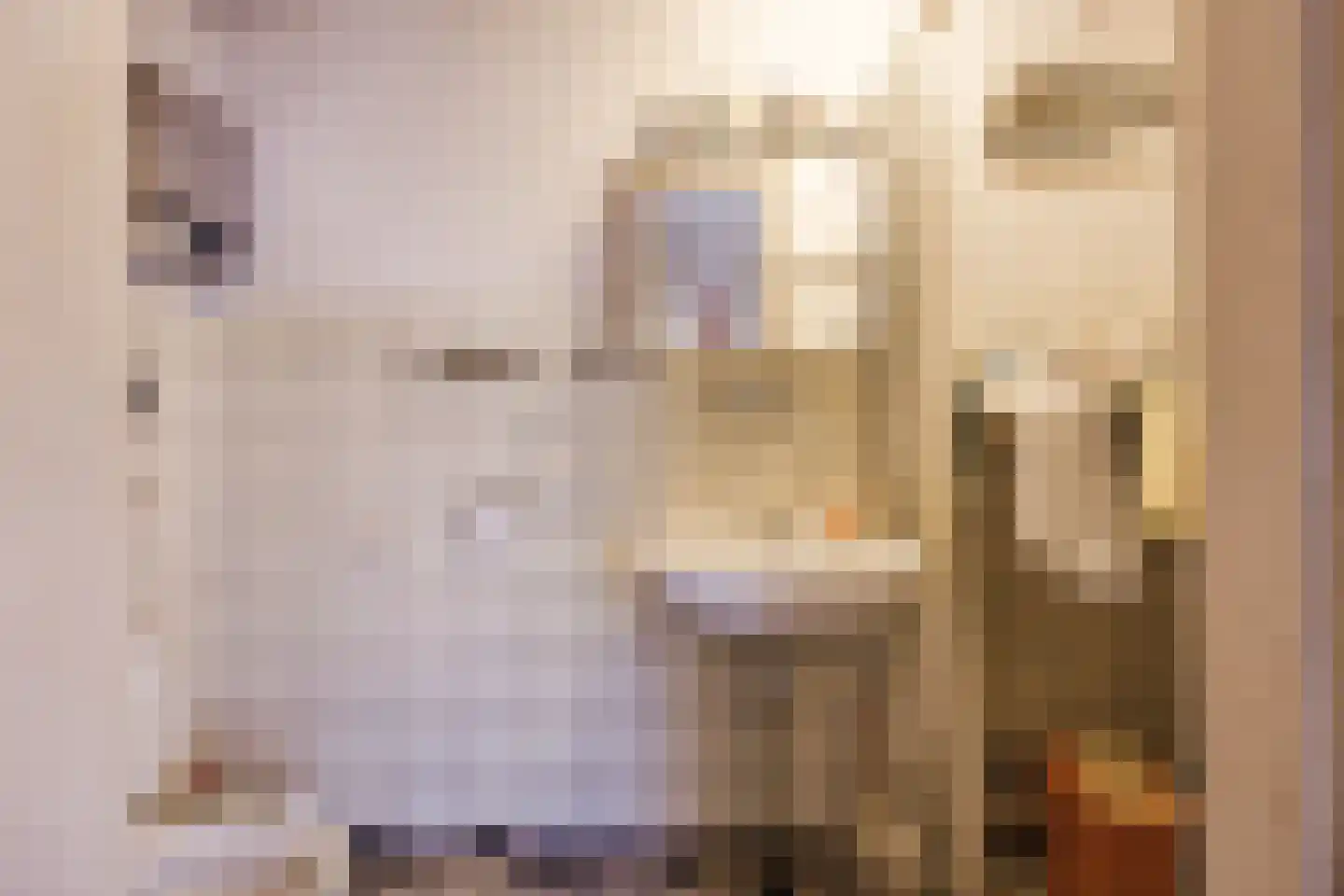 Dr. Nolensstraat 18 Tilburg thumbnail 5