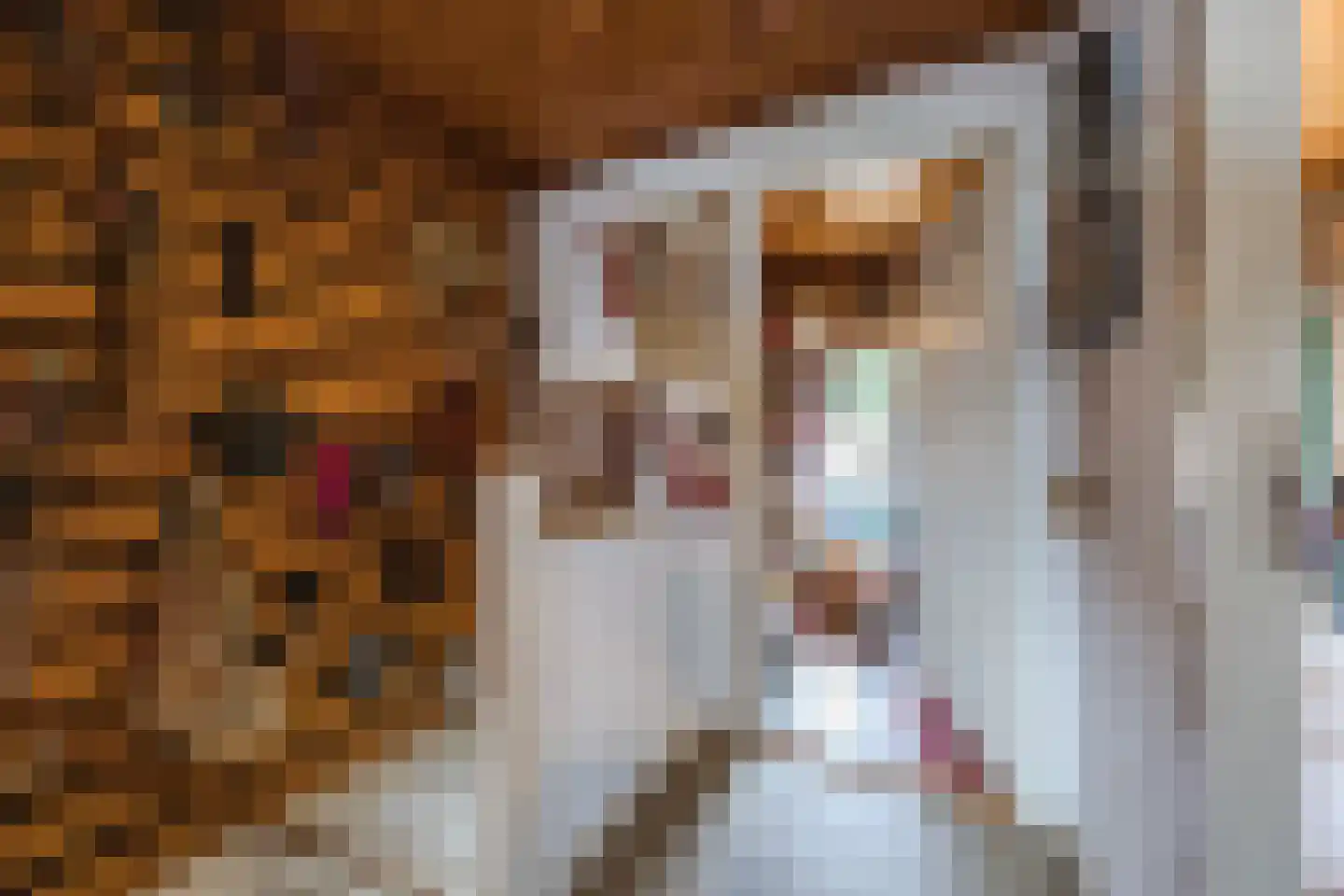 Dr. Nolensstraat 18 Tilburg thumbnail 6