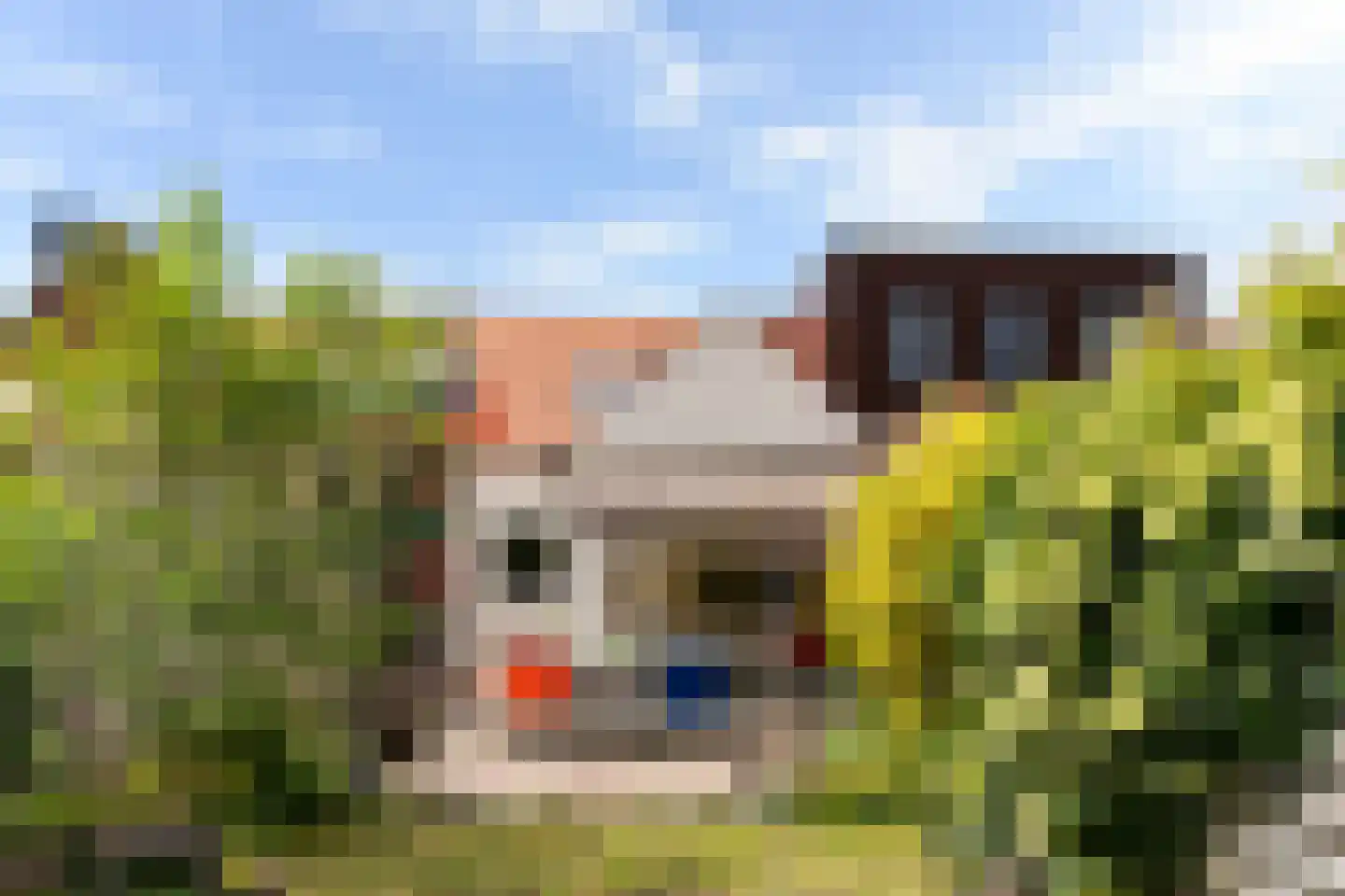 Dr.Nolensstraat 36 Gennep thumbnail 15