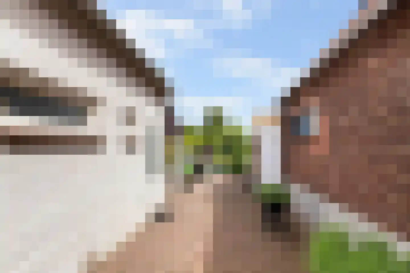 Dr.Nolensstraat 36 Gennep thumbnail 16