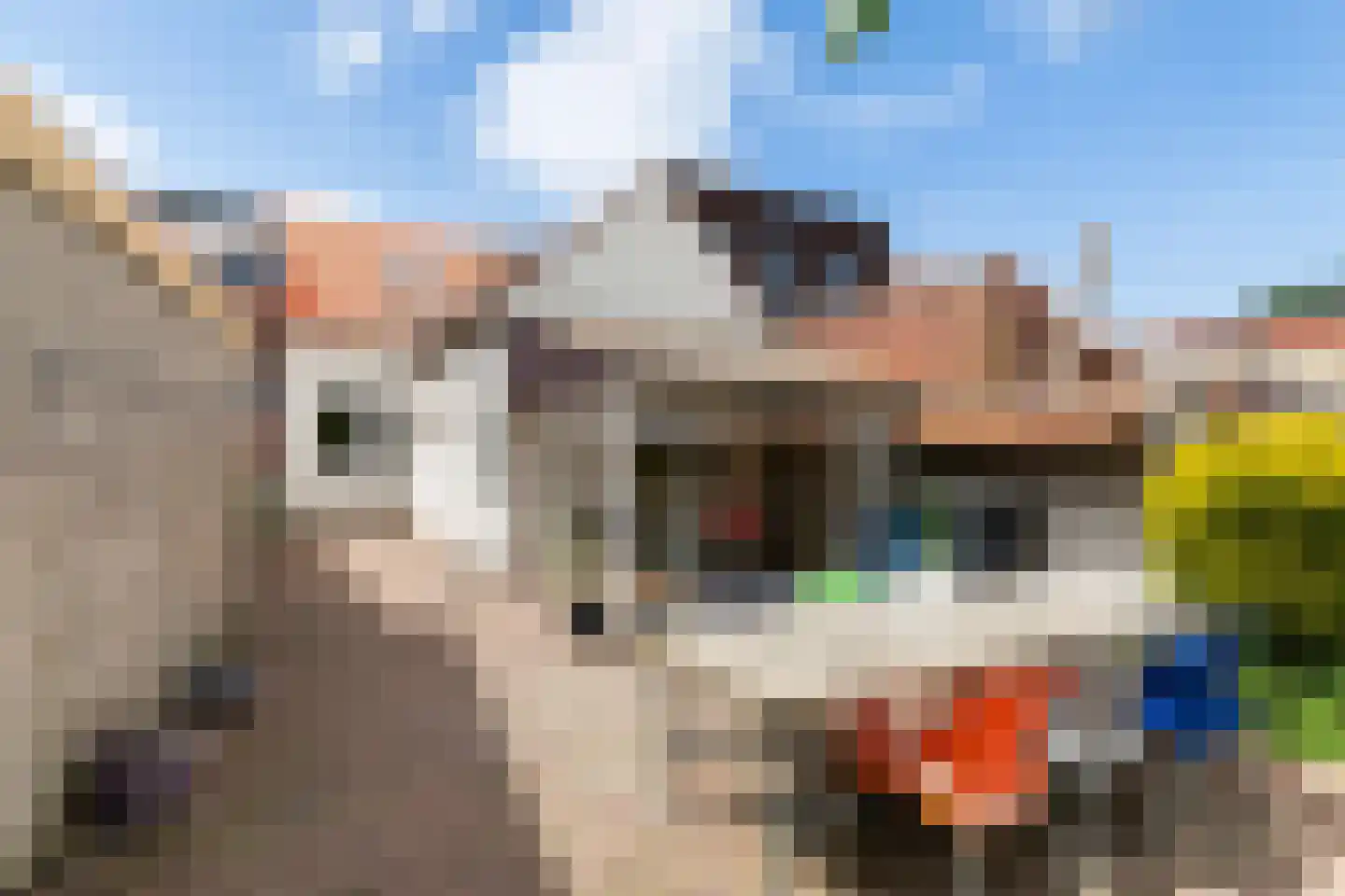 Dr.Nolensstraat 36 Gennep thumbnail 17
