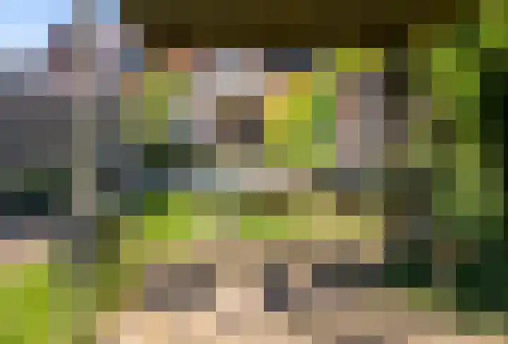 Dr.Nolensstraat 36 Gennep thumbnail 26