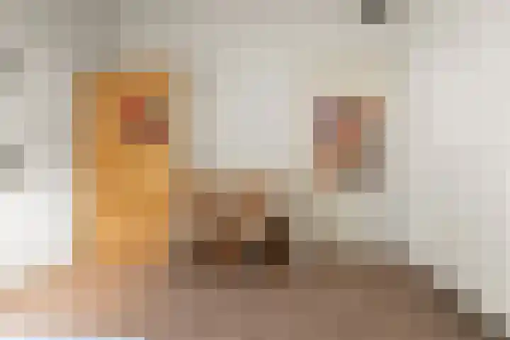 Dr.Nolensstraat 42 Gennep thumbnail 37
