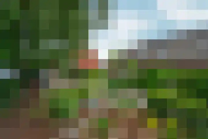 Dr.Nolensstraat 42 Gennep thumbnail 46