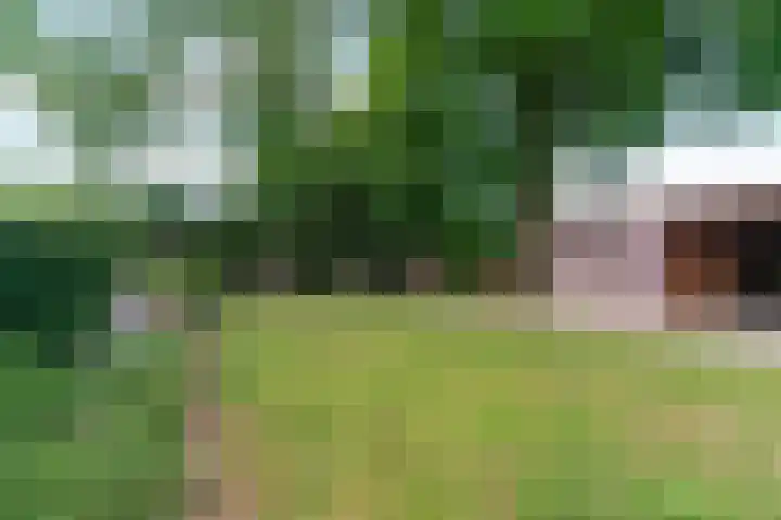 Dr.Nolensstraat 42 Gennep thumbnail 48