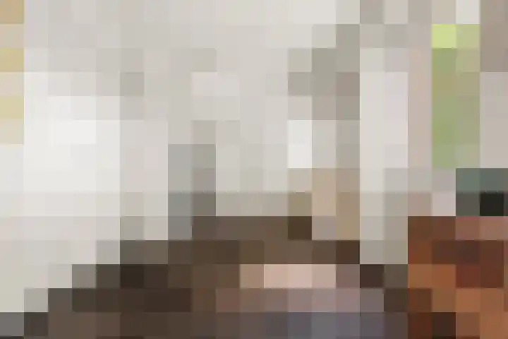 Dr.Nolensstraat 42 Gennep thumbnail 7