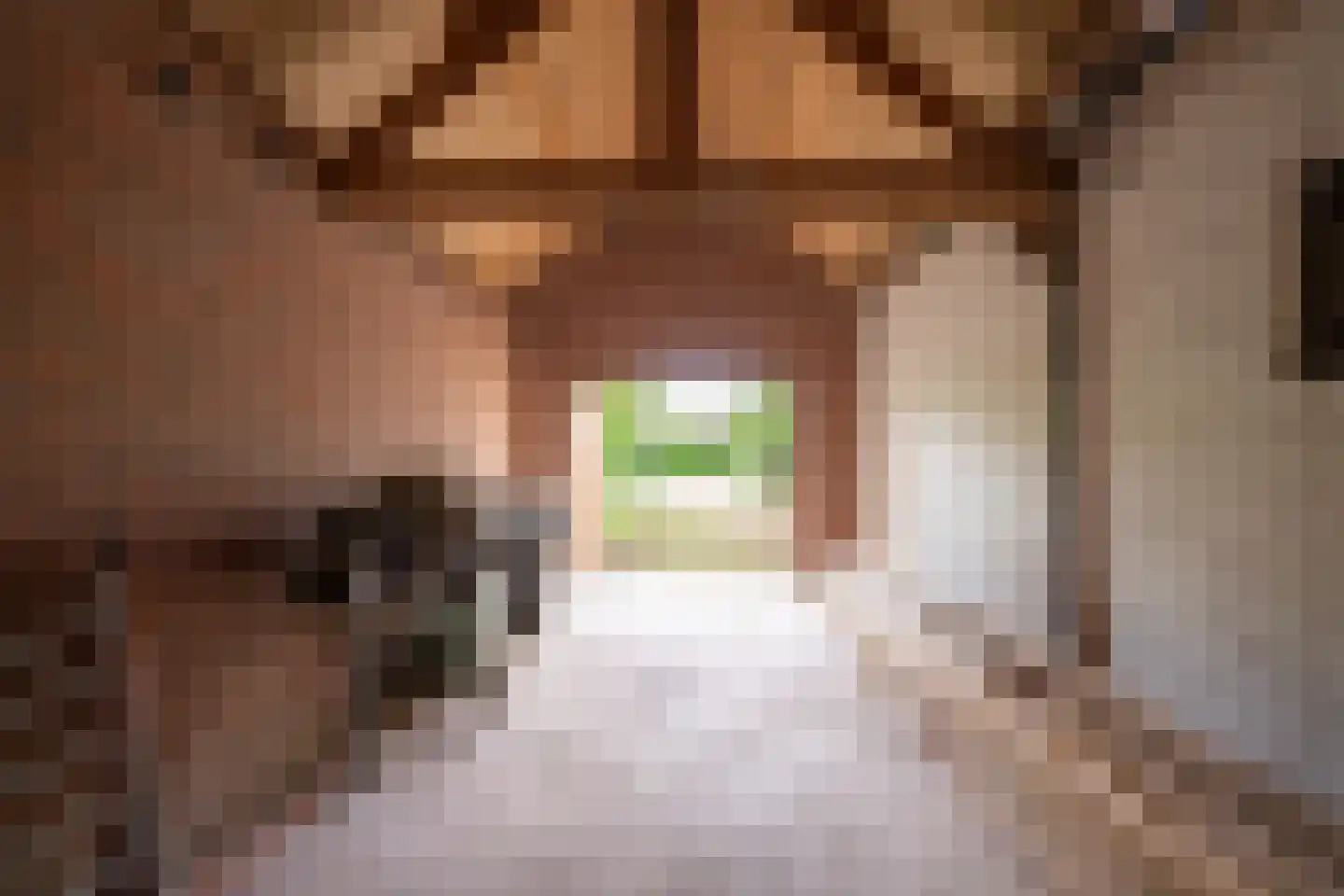 Dr. Nolensstraat 5 Limbricht thumbnail 13