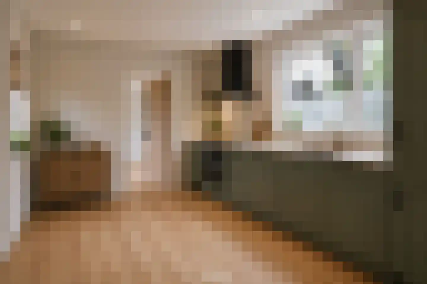Dr. Nolensstraat 5 Limbricht thumbnail 9