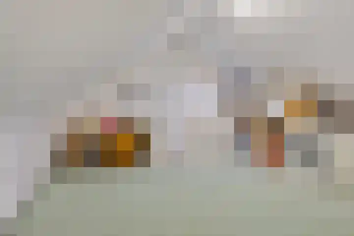 Dr. Nolensstraat 52 Tilburg thumbnail 35
