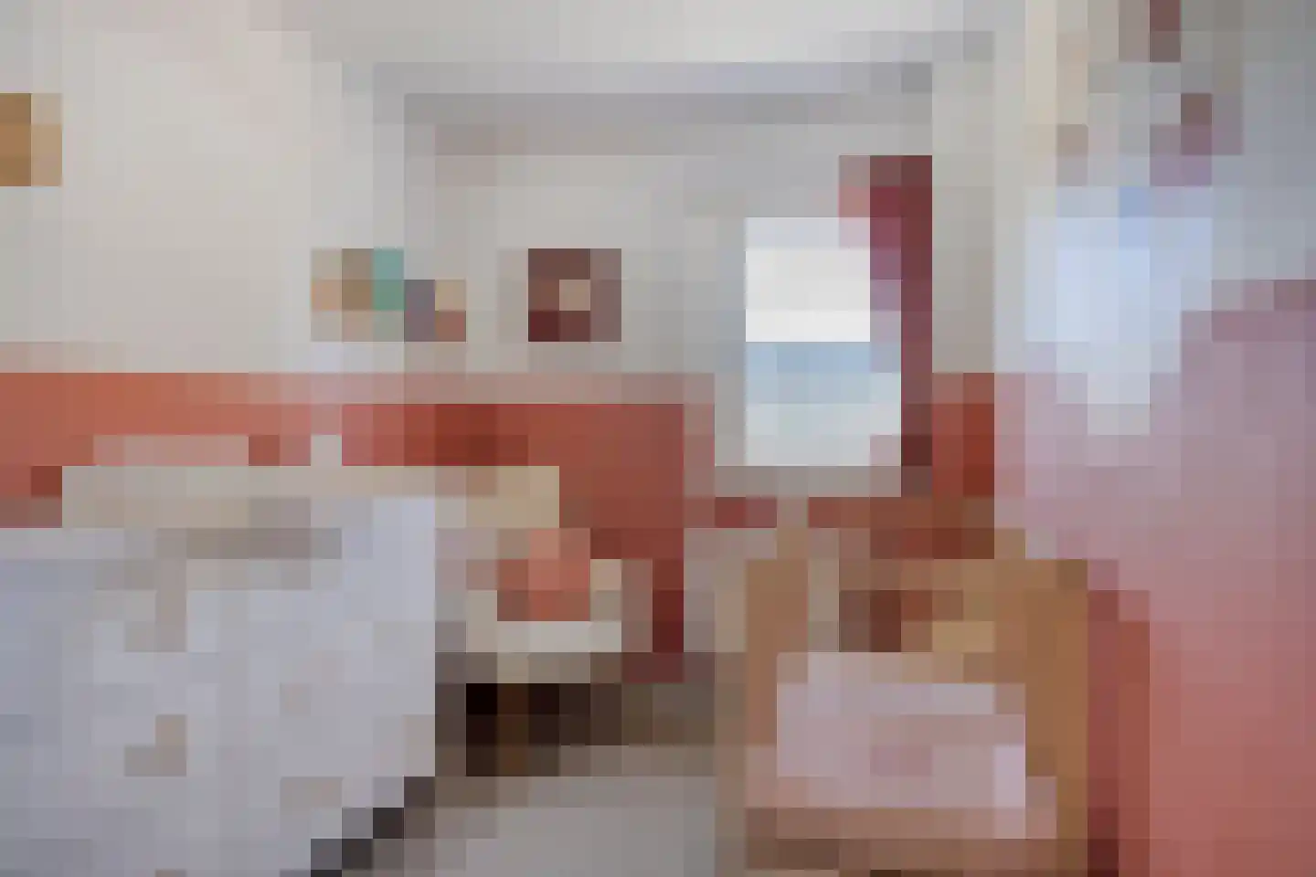 Dr. Nolensstraat 6 Enschede thumbnail 30