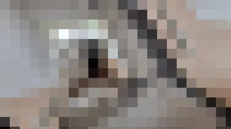 Dr. Nolensstraat Tilburg thumbnail 8