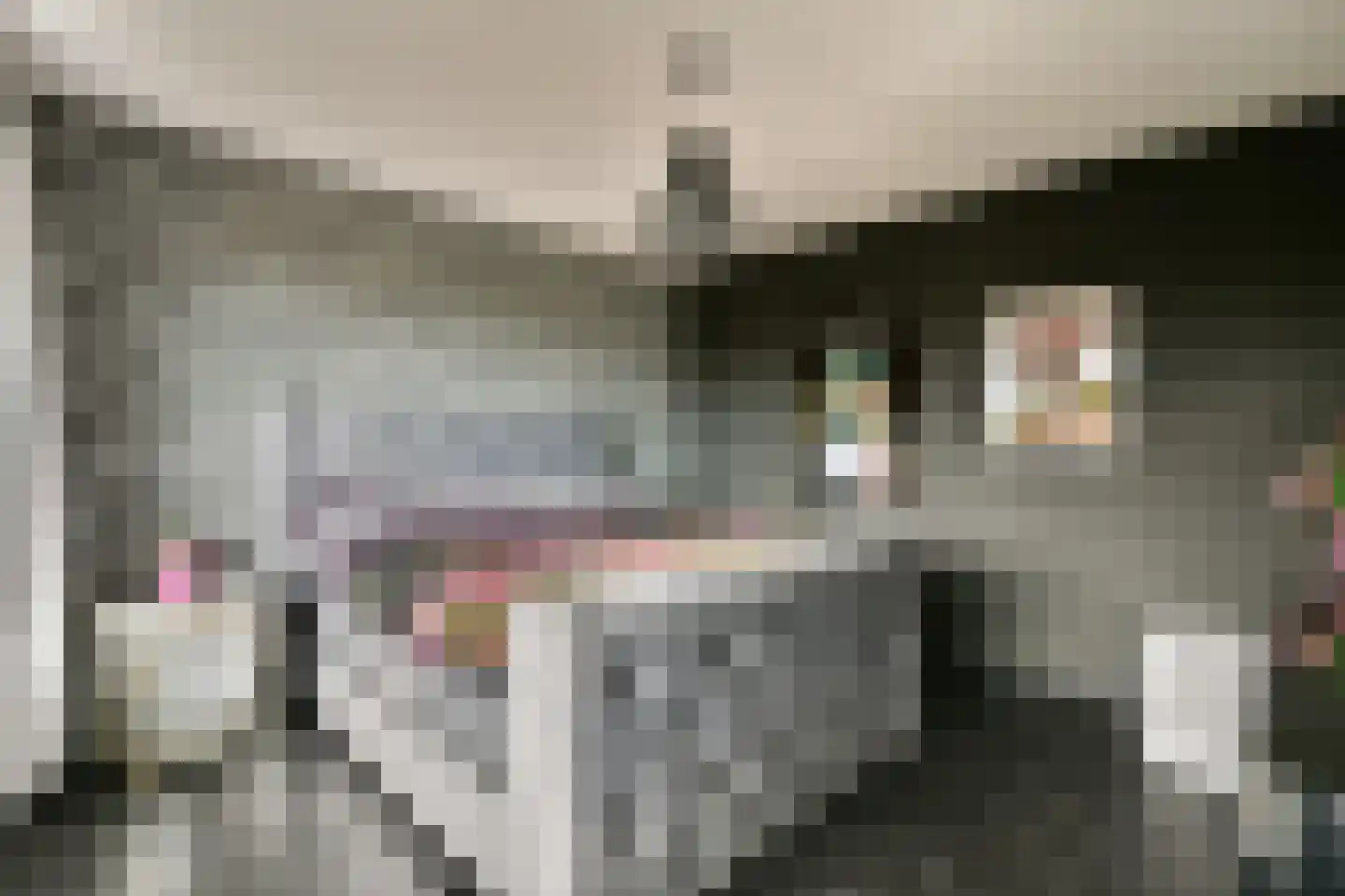 Dr Noletstraat 2 A 4 Schiedam thumbnail 17