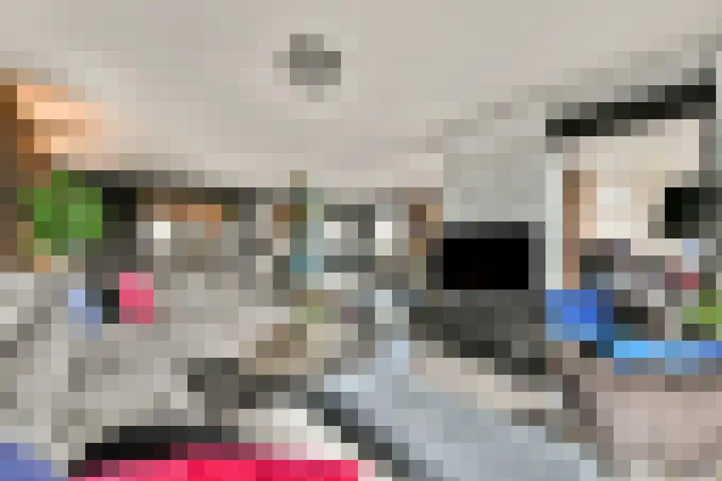 Dr Noletstraat 2 A 4 Schiedam thumbnail 6