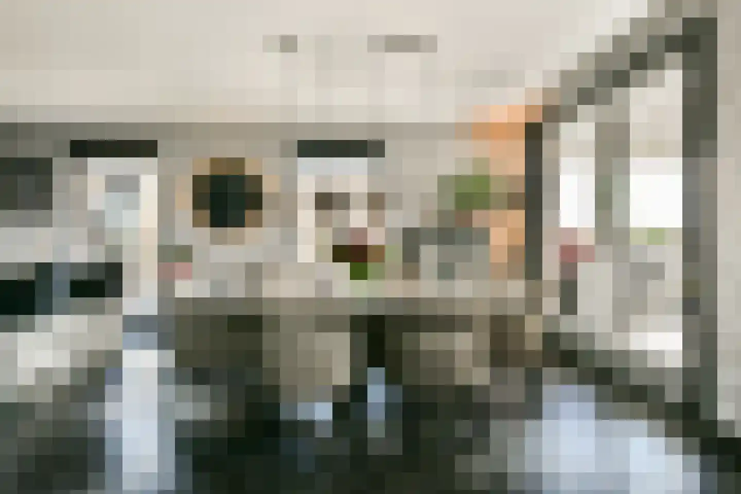 Dr Noletstraat 2 A 4 Schiedam thumbnail 7