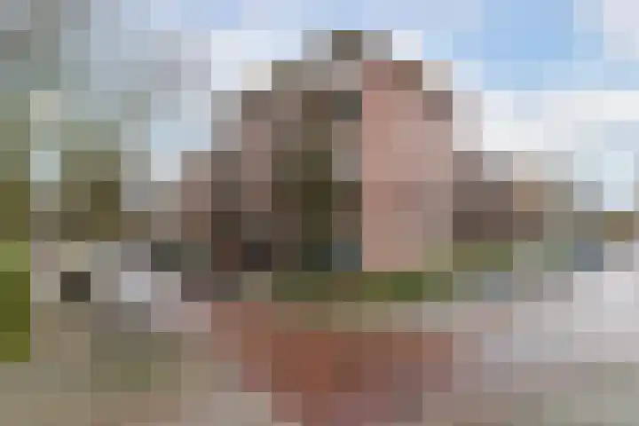 Dr Noletstraat 2 B 3 Schiedam thumbnail 5