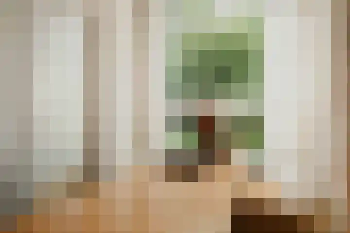 Dr. Nuijensstraat 2 a Tilburg thumbnail 13