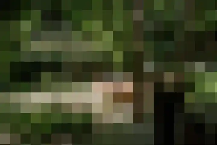 Dr. Nuijensstraat 2 a Tilburg thumbnail 52