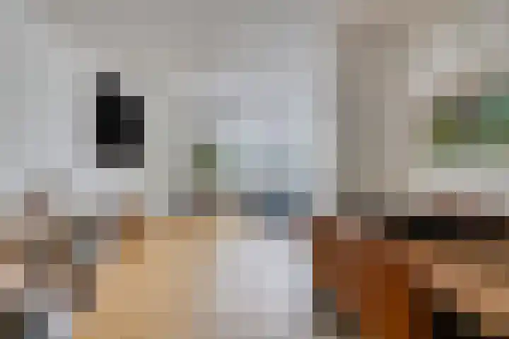 Dr.Nuijensstraat 39 Westwoud thumbnail 14