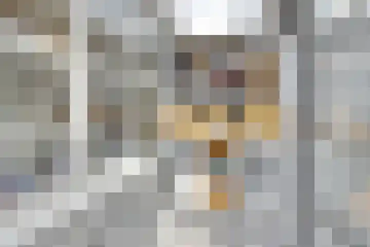 Dr.Nuijensstraat 39 Westwoud thumbnail 17