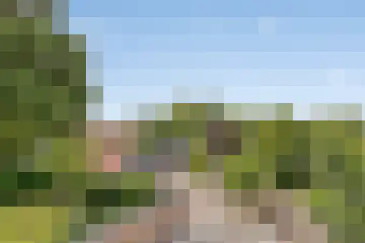 Dr.Nuijensstraat 39 Westwoud thumbnail 27
