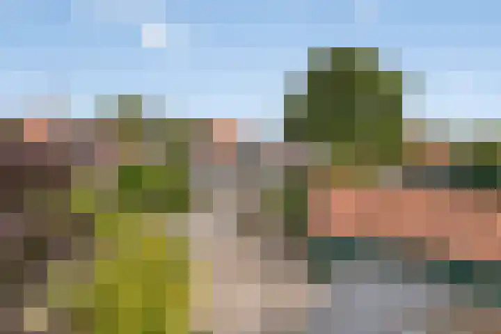 Dr.Nuijensstraat 39 Westwoud thumbnail 28