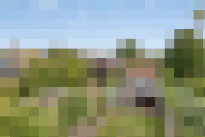 Dr.Nuijensstraat 39 Westwoud thumbnail 29