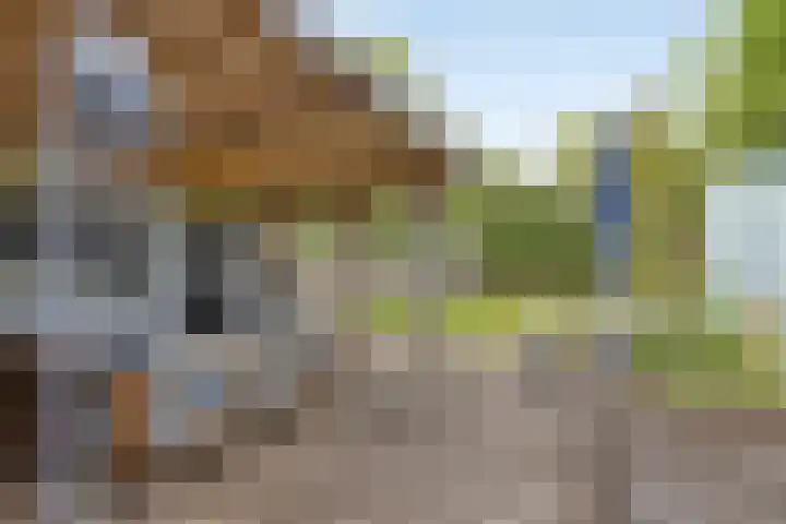 Dr.Nuijensstraat 39 Westwoud thumbnail 34