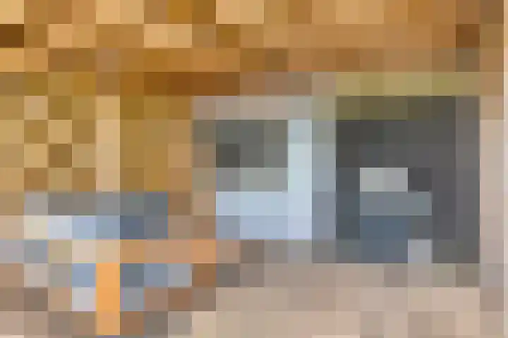 Dr.Nuijensstraat 39 Westwoud thumbnail 35