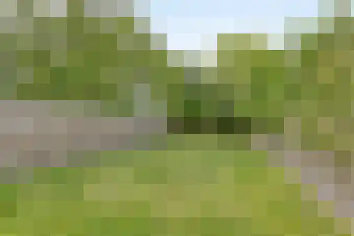 Dr.Nuijensstraat 39 Westwoud thumbnail 36
