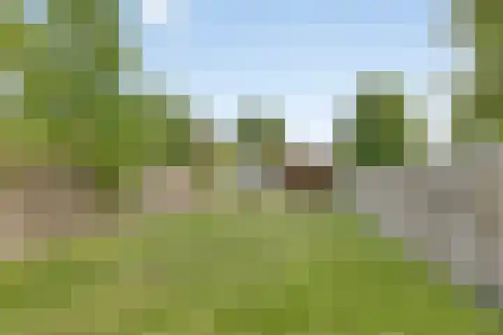 Dr.Nuijensstraat 39 Westwoud thumbnail 37
