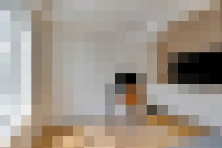 Dr.Nuijensstraat 39 Westwoud thumbnail 4